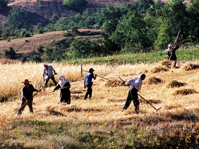 Tarımın 3 yıllık yol haritası netleşti