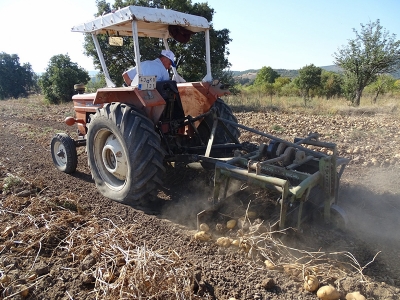 Bilinçli üretim yaptı, kazandı