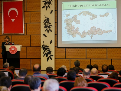 Zeytinde hedef: 3 milyon ton