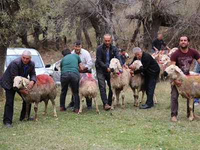 Koç katımından renkli görüntüler