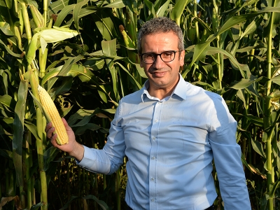 Yerli tohumlar devler liginde