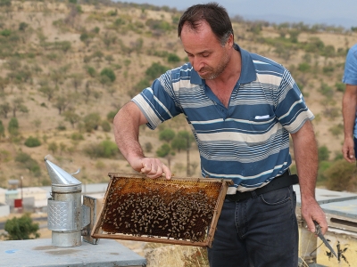 Siirt'te modern arıcılık eğitimi