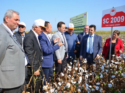 Denizli’de tarla günü