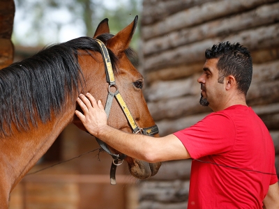 Milyonluk atlar Mustafa Usta’ya emanet