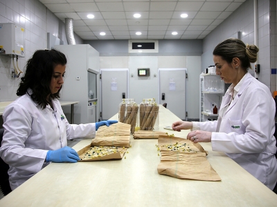 Bu tohumlar dünyaya gidiyor