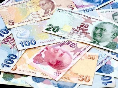 Desteklere girdi maliyeti ayarı