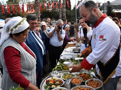 Milas zeytin hasadıyla şenlendi