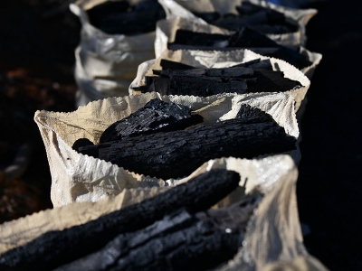 Ölü ağaçlar ekonomiye kazandırılıyor