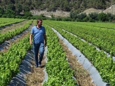 Bilecik’in asmaları Özbekistan yolcusu
