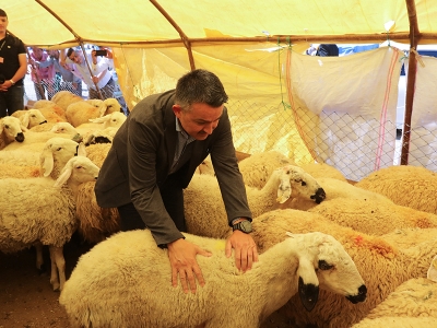 Bakan Pakdemirli kurban pazarını ziyaret etti