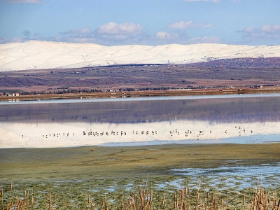 Türkiye’nin sulak alanları genişliyor