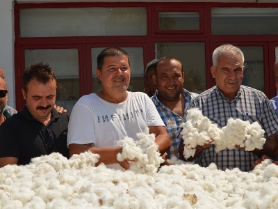 İlk pamuk 100 liradan satıldı