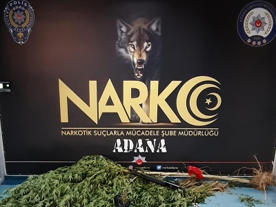 Hint keneviri ekili alan uçangözle tespit edildi