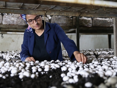 Evlerinin altında üretip, ihracat yapıyorlar