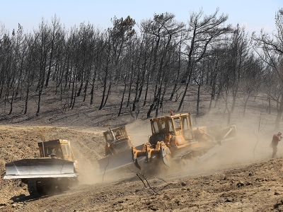 İzmir ağaçlandırılmak için gün sayıyor