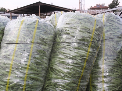 Fasulye piyasası altın çağını yaşıyor