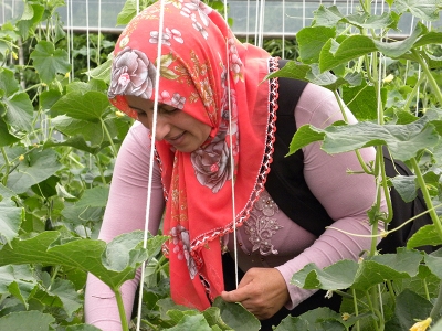 Seracılığı kursta öğrendi işinin patronu oldu