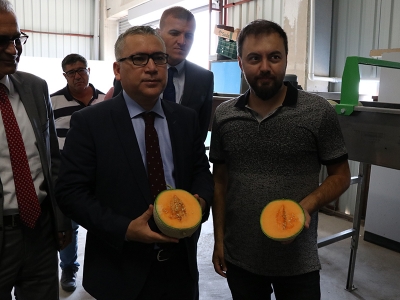 Niğde’den 4 ülkeye ihracat