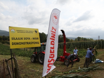 Silajlık mısır şenlikle hasat edildi