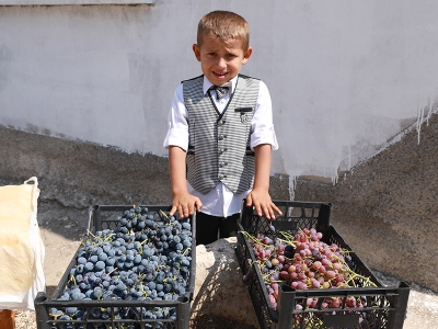 Diyarbakır’da bağ bozumu yapıldı