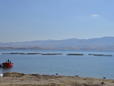 Balık üreticiliğinin yeni adresi: Hirfanlı Barajı