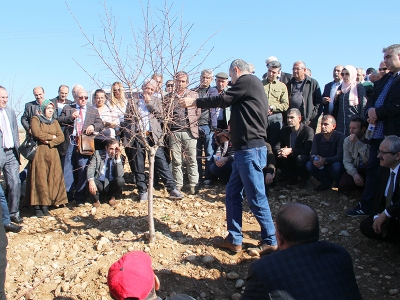 Adıyaman’da meyve ağacı  budama eğitimi