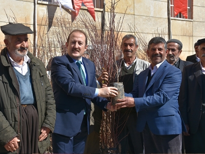 Şırnaklı çiftçiye fidan desteği