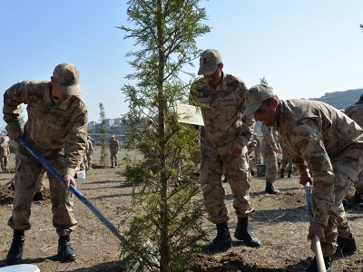 İdlib şehitleri anısına fidan dikildi