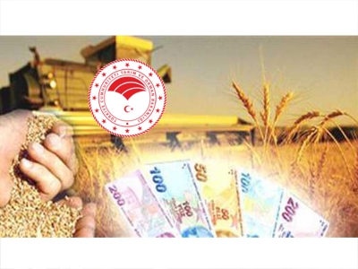 Bitkisel üretimde başvuru düzenlemesi