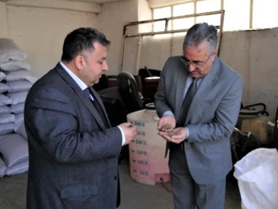 Iğdırlı üreticilere korunga teşviki