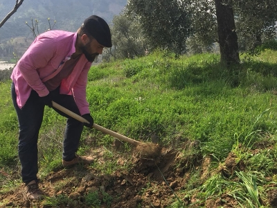 Sosyal hayat durunca tarlalar yeşerdi