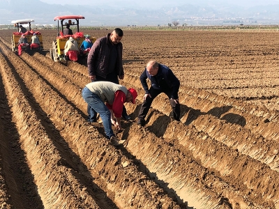 Tarımsal üretim için yüzde 100 destek