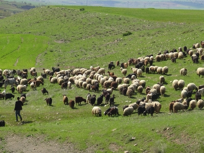 Üreticiler sokağa çıkma yasağından muaf