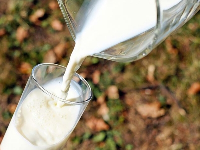 Çiğ süt ve manda destekleri ödeniyor