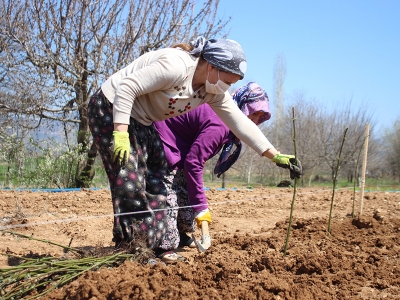 Kırsala kadın eli değiyor, yatırımlar hayat buluyor