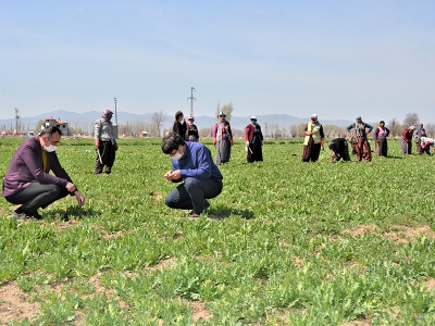 Afyonkarahisar’da tarıma mola yok