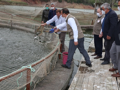 Sağlıklı beslenme için taze balıklar Bursa’dan