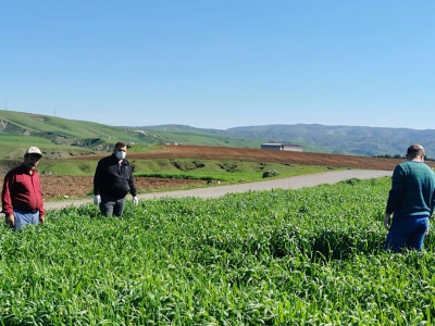 Üretimde bereket için saha çalışması