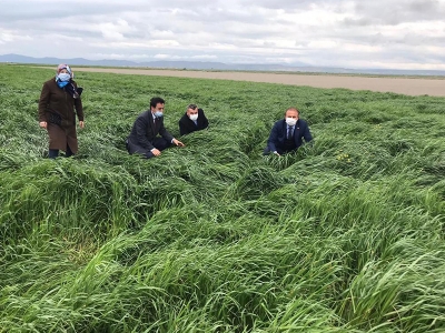 Sütünüz tatlansın geliriniz katlansın