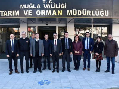 Muğlalı üreticilere müjde…