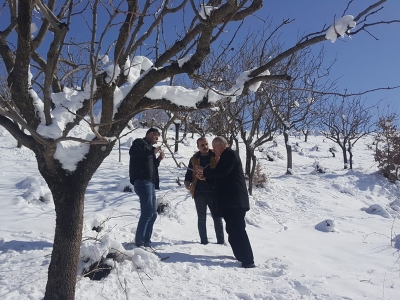 Siirt’te yetiştiriciler olumsuz hava koşullarından etkilenmedi