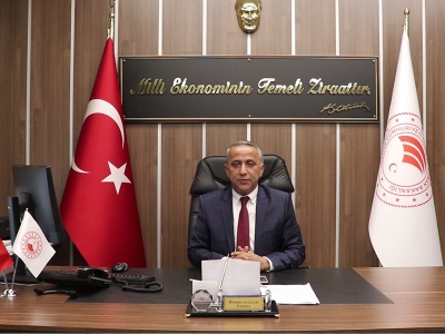 Bahar geldi hayvanlar meralarla buluştu