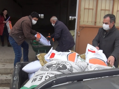 Gümüşhane’de üreticiye yem bitkisi desteği