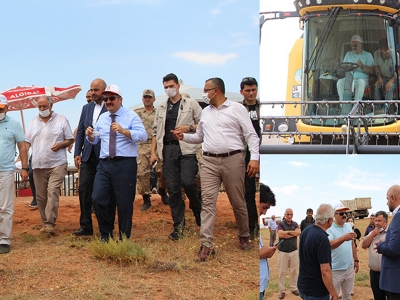 Atıl araziler üretime dönüyor