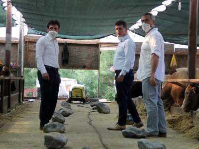 Kurbanlıktan kesime Koronavirüs tedbirleri