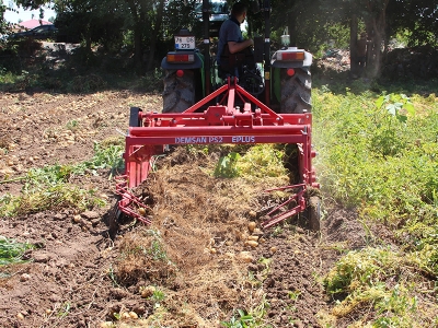 Iğdır patatesinde hasat zamanı