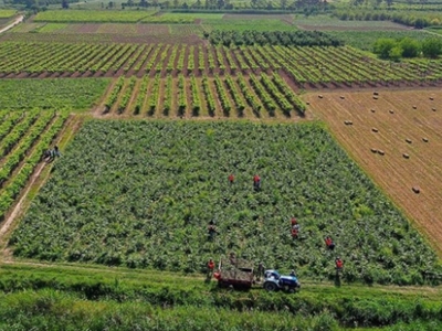 ÇKS başvurusu süresi uzatıldı