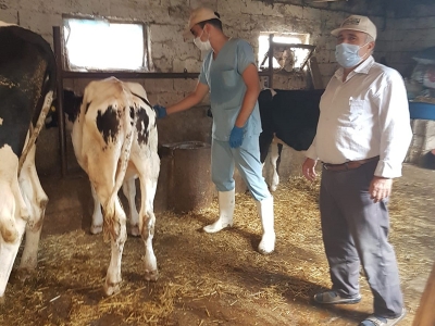 Kırklareli’de aşılama seferberliği