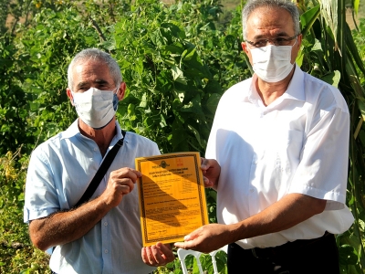 Yalova’da bahçelerin yeni rengi aronya