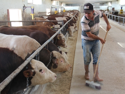 Hibe aldı işletmesini 3 kat büyüttü